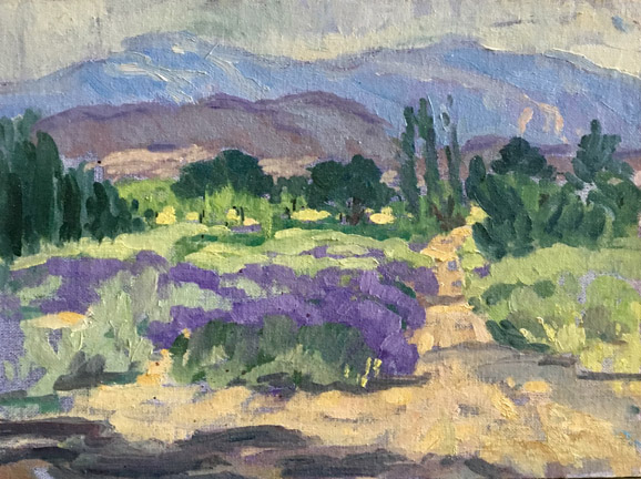 Lavender Fields, Beaumont, California