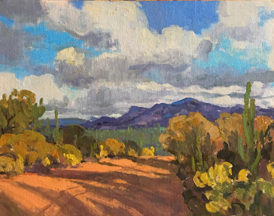Sonoran Desert Shadows