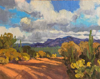 Sonoran Desert shadows